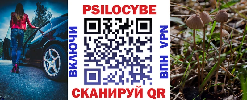 Галлюциногенные грибы Cubensis  Купить  Юрьев-Польский 